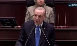 Cumhurbaşkanı Erdoğan’dan sokak hayvanları yasa teklifi ile ilgili açıklama: Kimse bize merhamet dersi vermesin!