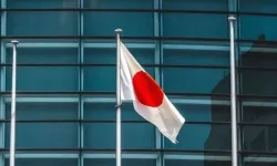 Japonya’da tarihi karar: Zorla kısırlaştırma mağdurlarına tazminat