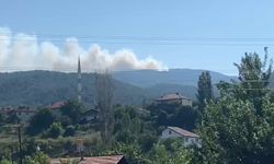 Karabük'te orman yangını çıktı: İtfaiye ekipleri olay yerinde