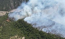 Karabük'ün Ovacık ilçesinde yıldırım düşmesiyle çıkan orman yangınına müdahale sürüyor