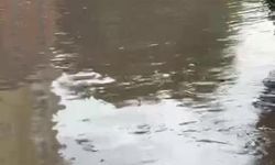 Kartal Esentepe Mahallesi'nde sağanak yağış sonrası sokaklar göle döndü