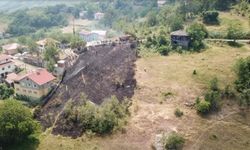 Kastamonu'da anız yangını evlere sıçramadan kontrol altına alındı