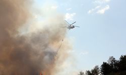 Kastamonu'da orman yangınına karadan ve havadan müdahale ediliyor