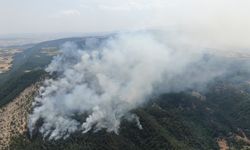 Kastamonu'ndaki orman yangınına müdahale devam ediyor