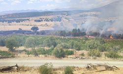 Kulp’ta üzüm bağları ve meyve ağaçları yangında zarar gördü