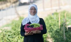 İzmir’in mahalle bostanlarında hasat başladı