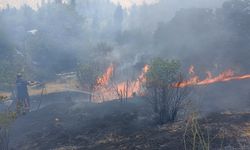 Malatya Darende'de bahçelik alanda yangın paniği