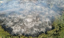 Manisa'da çıkan orman yangınına müdahale edildi