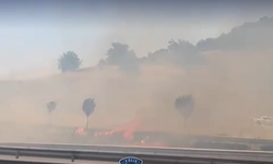 Manisa’da orman yangını: Sabuncubeli Tünelleri trafiğe kapatıldı