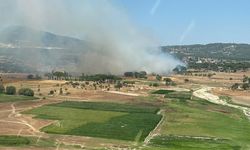 Milas'ta ikinci orman yangını: Ekipler müdahalede bulunuyor