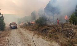 Çanakkale’de ormanlık alanda yangın çıktı