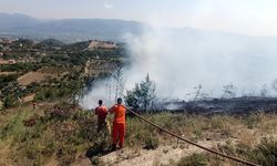 Sakarya'da orman yangınları artıyor: Jandarma uyarıyor