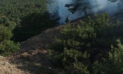 Sungurlu orman yangını: Yaklaşık 3 dönüm alan zarar gördü