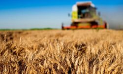 Tarım-GFE mayıs'ta yıllık yüzde 53,08 arttı: Tarımsal girdi fiyatları yükseldi