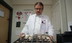 Üroloji uzmanı, 22 Yılda taş koleksiyonu oluşturdu