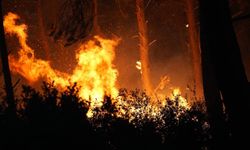 TMMOB’dan yangın çıkışı: Geleceğimizi tehdit ediyor