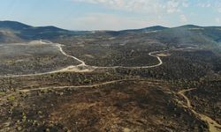 Ankara-Bolu sınırında felaketin izleri: Orman yangını havadan görüntülendi!