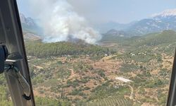 Antalya'nın Serik ilçesinde orman yangını