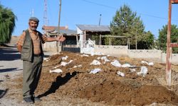 Besiciler, belediyenin tezekleri almayı durdurması nedeniyle mağdur oldu