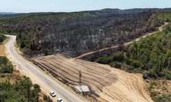 Çanakkale'deki büyük orman yangınının çıkış noktası dron ile görüntülendi