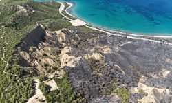 Çanakkale'deki tarihi alandaki yangın sonrası soğutma çalışmaları devam ediyor