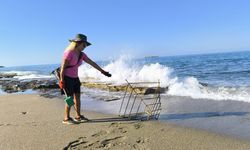 Caretta caretta yavruları çöplerden kurtarıldı