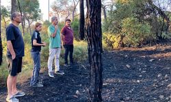 Heybeliada'da ormanlık alanda çıkan yangın kontrol altına alındı