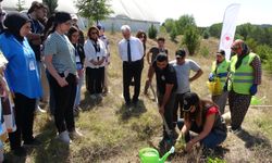 İklim değişikliği ve orman yangınları üzerine farkındalık projesi