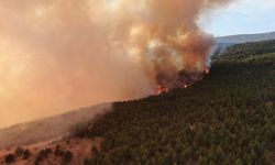 Ilgaz Dağı'ndaki orman yangını havadan görüntülendi