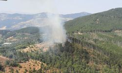 Aydın Kuyucak'ta orman yangını: Müdahale devam ediyor