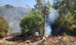 Marmaris’te orman yangını kısa sürede kontrol altına alındı