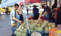 Meşhur Cefan Kavunu, Türkiye'nin dört bir yanına dağıtılıyor