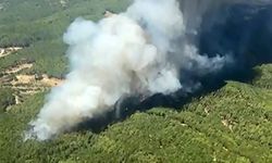 Muğla’da eş zamanlı orman yangınlarına hızlı müdahale