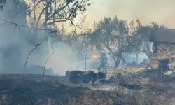 İzmir, Manisa, Uşak son yangınlar| Yangınlar tamamen söndü mü?