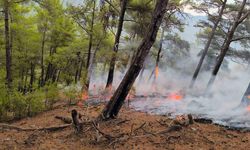 Muğla’da çıkan yangınlar söndürüldü