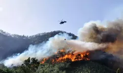 Antalya’da orman yangını çıktı! Havadan ve karadan müdahale devam ediyor