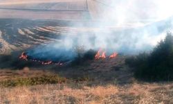 Kütahya'da anız yangını zamanında söndürüldü