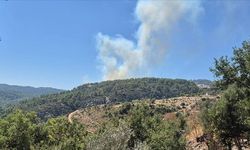 Antalya'da korkutan yangın! Ormanlık alana sıçramadan durduruldu