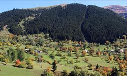 Artvin’in saklı cenneti: Şavşat