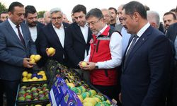 Bakan Yumaklı, narenciye hasat sezonunu açtı