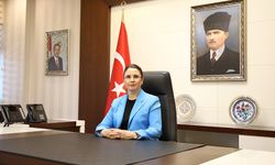 Vali Dr. Nurtaç Arslan kimdir? Dr. Nurtaç Arslan nereli?