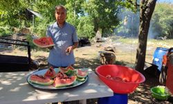 Beyağaç karpuzundan eşsiz pekmez üretimi başladı