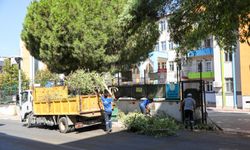 Buca Belediyesi'nden okullarda kapsamlı temizlik seferberliği