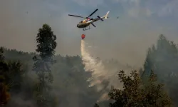 Ulusal yas ilan edildi| Portekiz, Tarihinin en büyük orman yangınlarıyla boğuşuyor