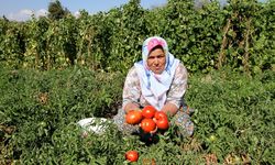 Karşıyaka’da heyecan tırmanıyor: En sevilen şenlik için geri sayım başladı