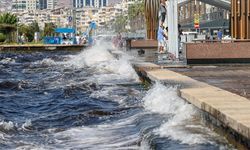 İzmir Körfezi nasıl temizlenecek: Balık ölümleri ve kötü koku sorunu için uzmanlardan kritik uyarılar