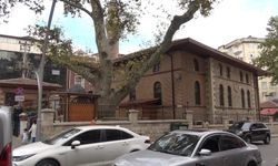 İzmit’in Tarihi Çınarlı Cami, asırlık çınar ağaçlarıyla göz kamaştırıyor