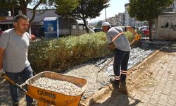 Karabağlar’ın parkı iklime uyumlu, çevreci politikalarla yeniden düzenleniyor