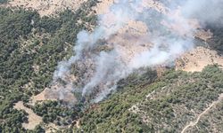 Kaş’ta orman yangını! Ekipler havadan ve karadan seferber oldu