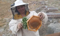 Torosların şifa kaynağı: Erken hasat edilen bal sütle karıştırınca öksürüğü kesiyor